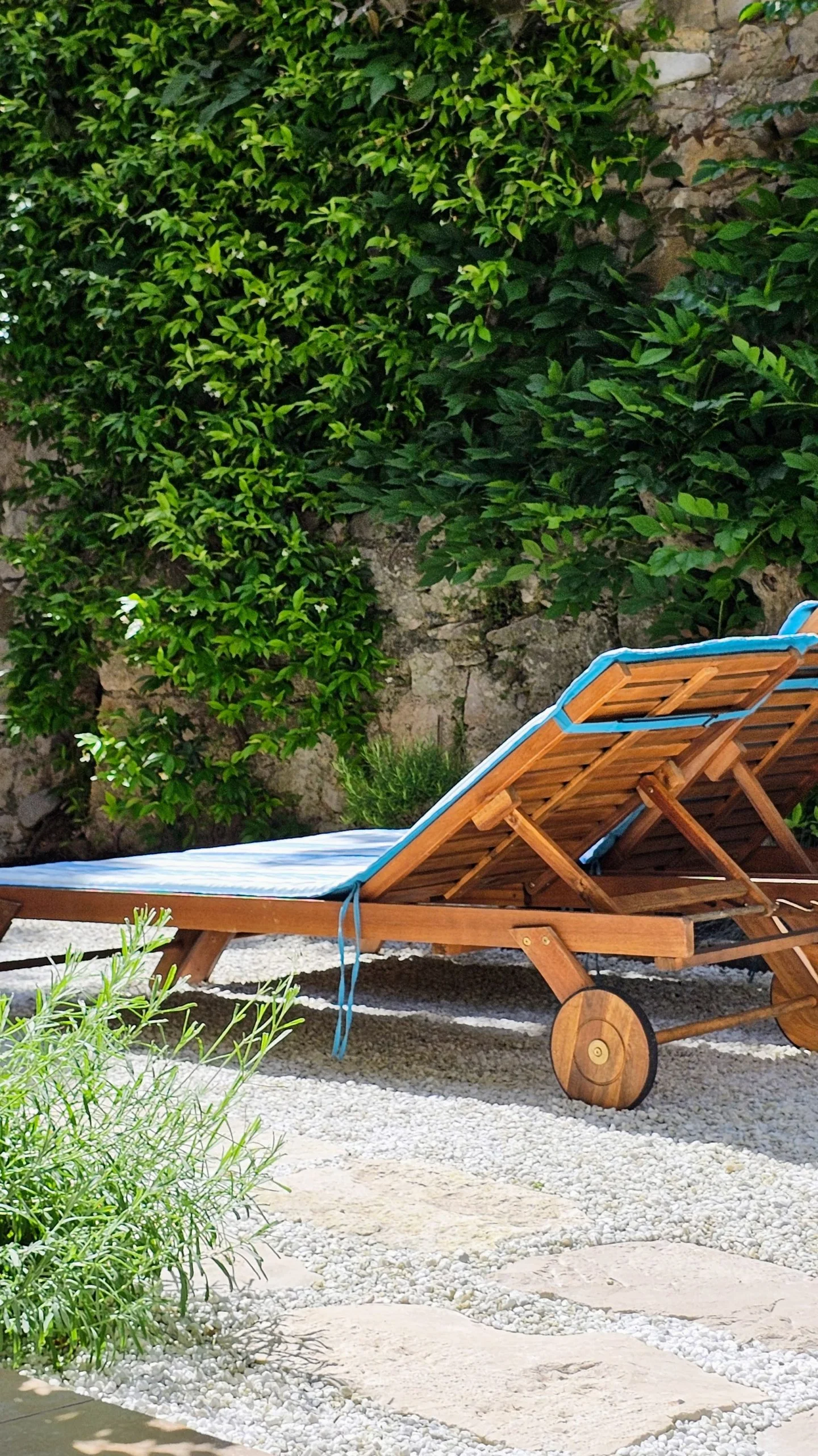 rectors villa rab rectors villa rab